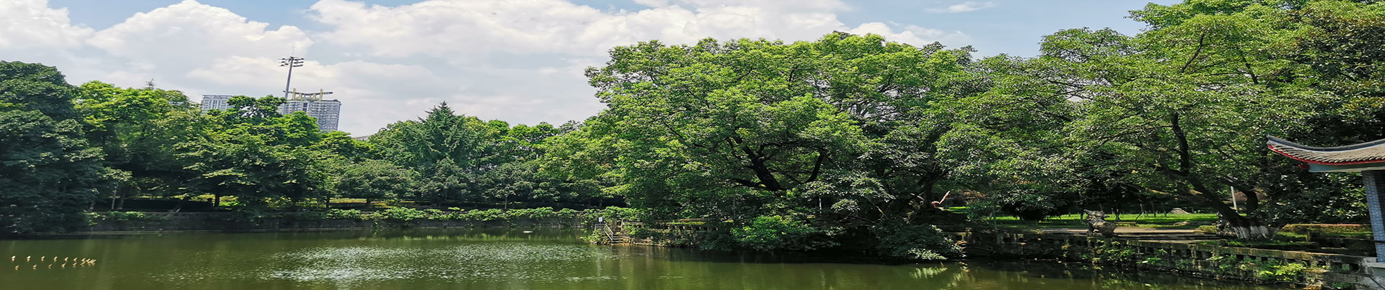 民主湖畔